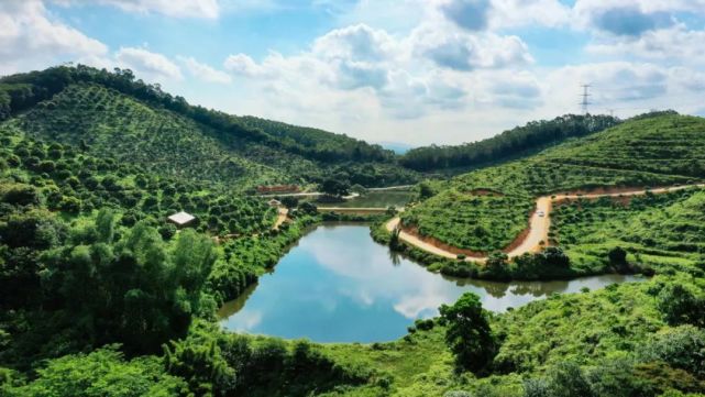 黄埔"荔枝公园"地图出炉