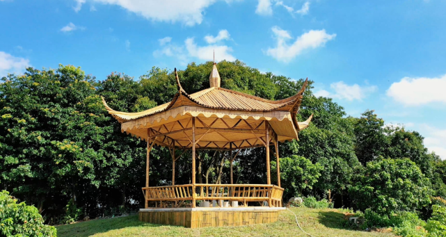 黄埔"荔枝公园"地图出炉