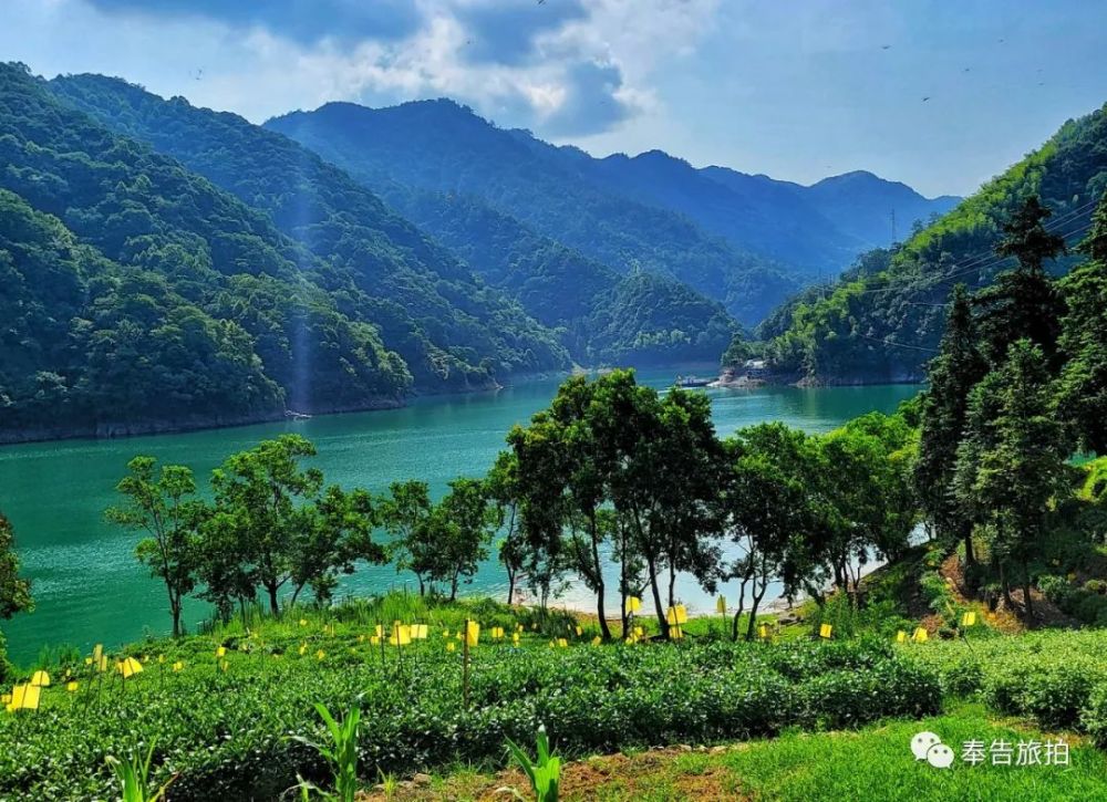 三面环山的太平湖曙光村,避暑度假好地方._腾讯新闻