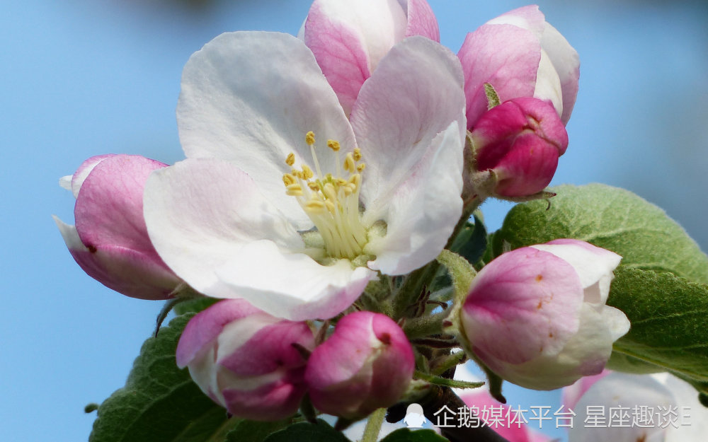 7月31日星座运势 贵人引路 意气风发的四大星座 腾讯新闻