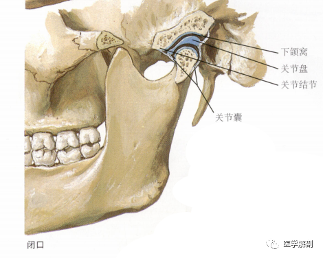 上方附着于下颌窝和关节结节的周围,下方附着于下颌颈,囊外有外侧韧带