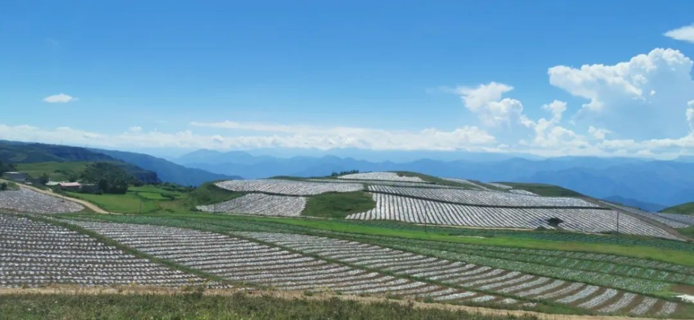 码口镇狠抓招商引资凝心聚力促增收