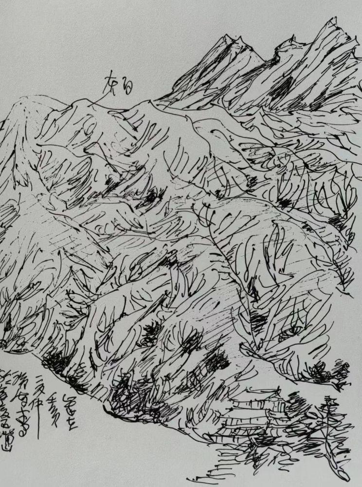 顶骄阳穿山道书画名家绘就贺兰山的多姿与壮美