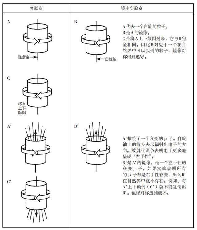 利昂·莱德曼：在那个周末的晚上，我想到了如何破坏宇称_https://www.jinrisc.com_站长资讯_第2张