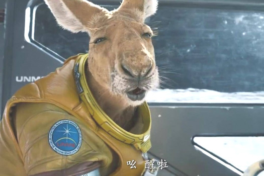 片中有一段袋鼠拉车的戏特别有感染力,让你能一下就体会到宇宙星辰