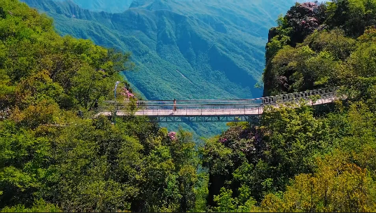 漢中龍頭山: