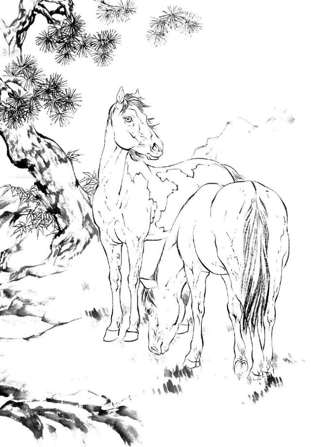 9张马的白描线稿,简单造型却美观大气,非常适合初学者临摹学习