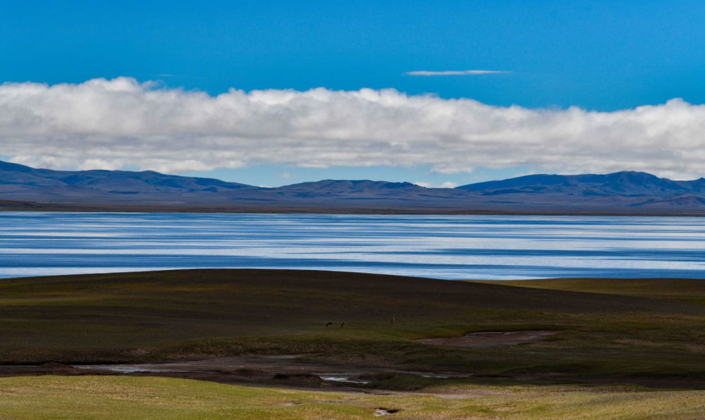 这里有星罗棋布的湖泊,空旷无边的草原和皑皑的雪山冰川,更是众多野生