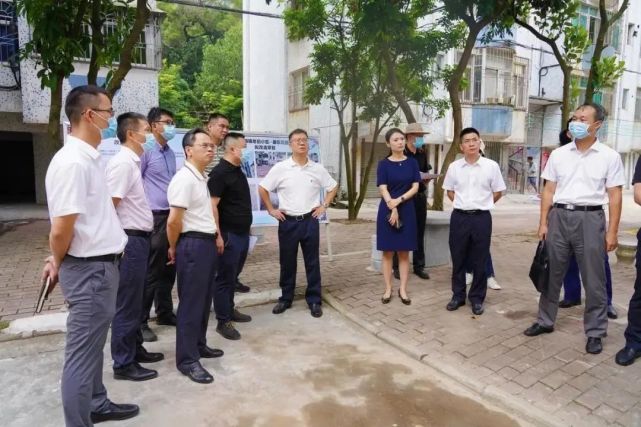 区领导余承坪,李邦耀,智然参加督导检查.