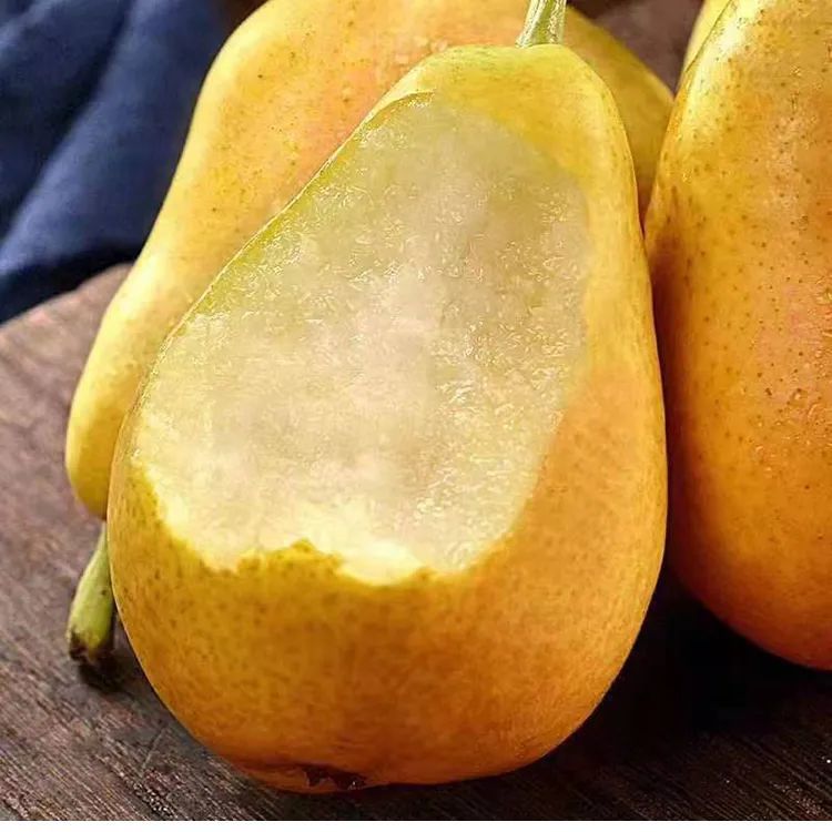 一梨润三秋别错过了最佳时节