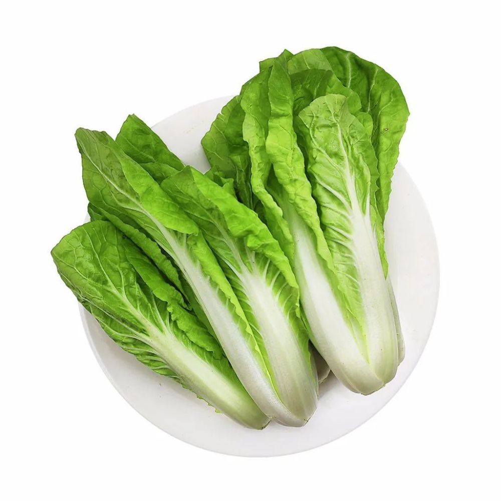 小 白菜 大误会 腾讯新闻