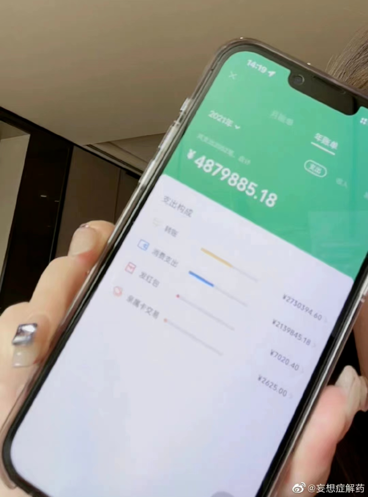 让大家看她的支付账单,仅微信支付2021年就支出约488万,平均一个月也