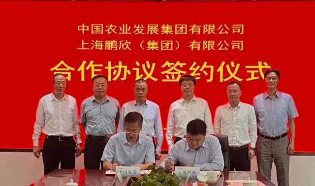 鹏欣集团董事长姜照柏,集团副董事长姜雷和中国农业发展集团党委书记