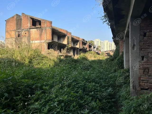 "中国第一村"—深圳南岭村,旧改过程有200多套房屋无人申报