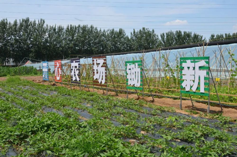 北京智慧农业|全方位数字平台监管，开启乡村治理新模式