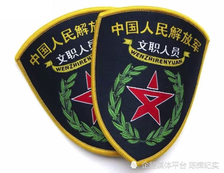 区别是军官授予军衔,文职干部肩章上是文职干部符号,领花与军官有区别