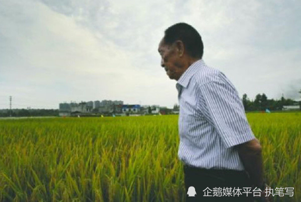 中国著名科学家排行榜_中国十大著名科学家_毕业