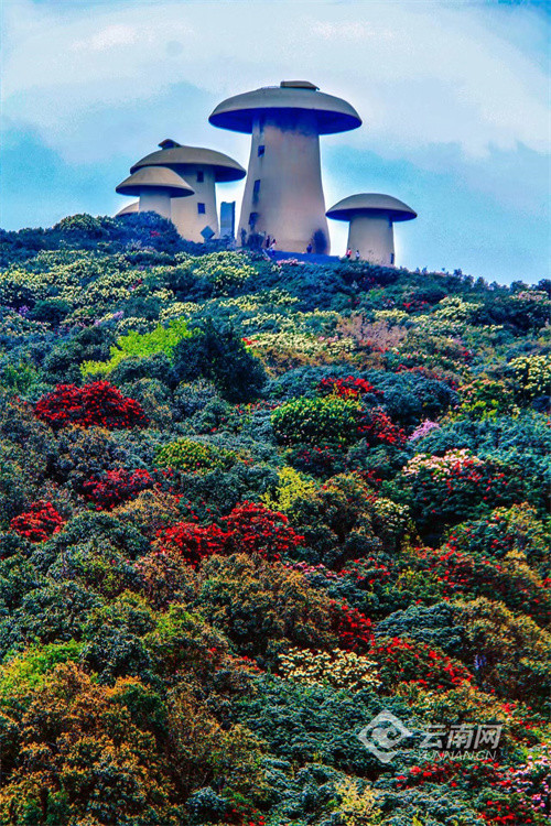 曲靖这十年师宗县砥砺奋进经济社会发展迈上新台阶