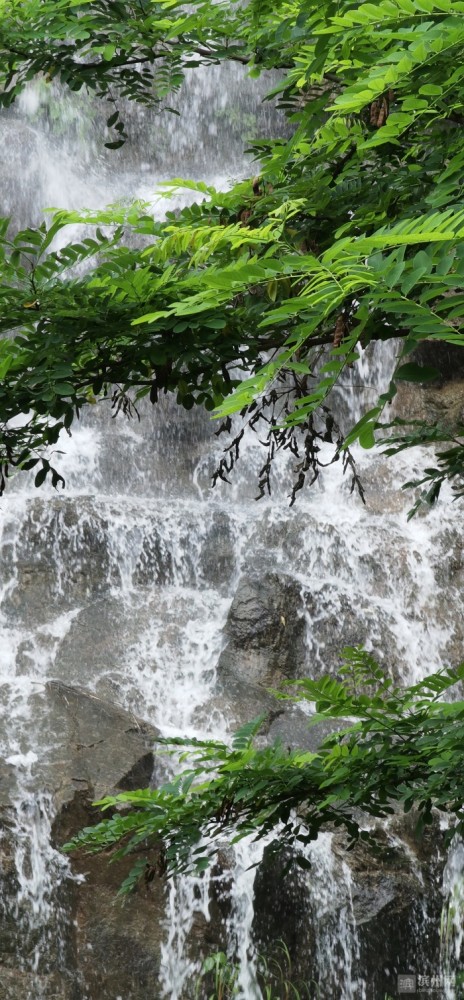 竹林山泉觅清凉_腾讯新闻