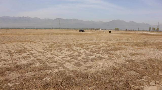 宁夏盐碱荒滩长出玉米有秘笈