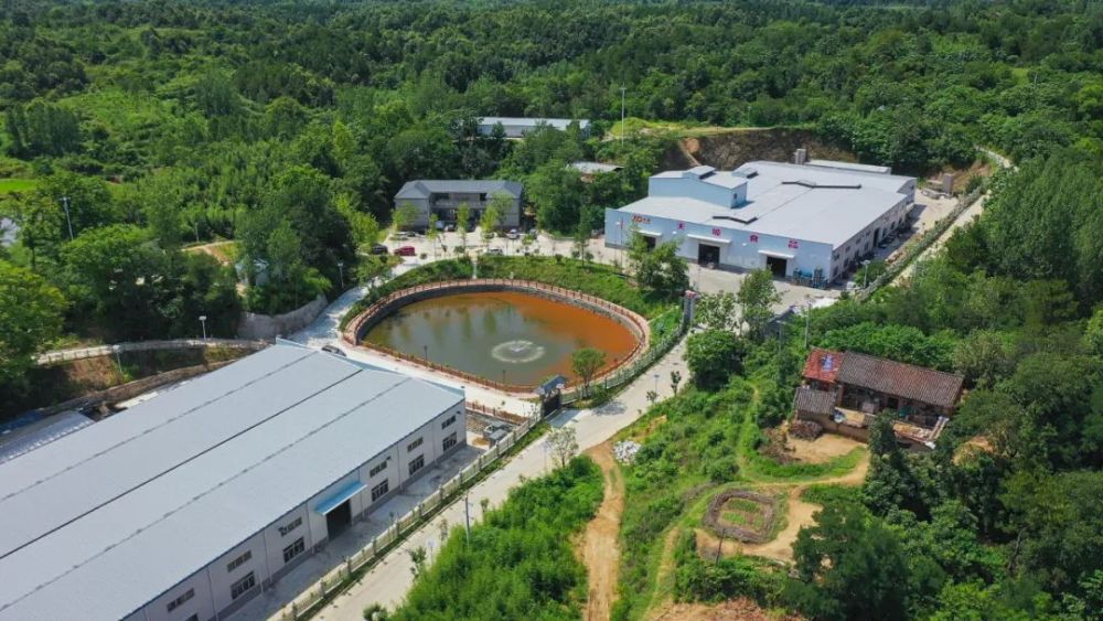 小林镇天坡村一个依山傍水的地方,有一个"藏在深闺人未识"的现代化工