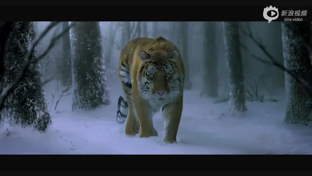 金刚鼠虽然圈粉但比起徐克电影中的神兽还是有不少差距