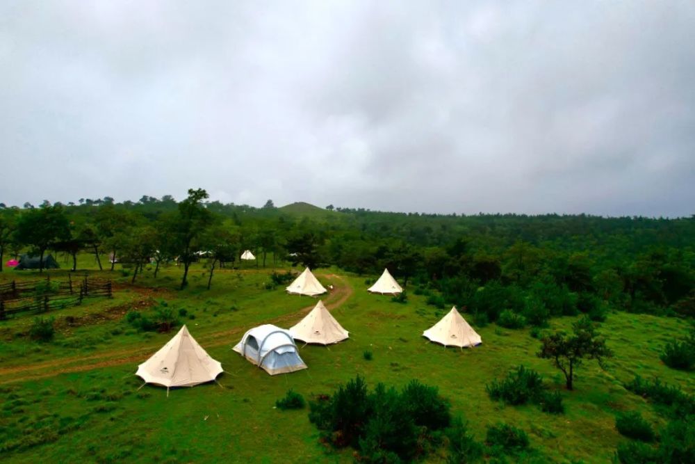 潍坊创建"东亚文化之都"丨网红打卡地之云中草原景点——助力潍坊市