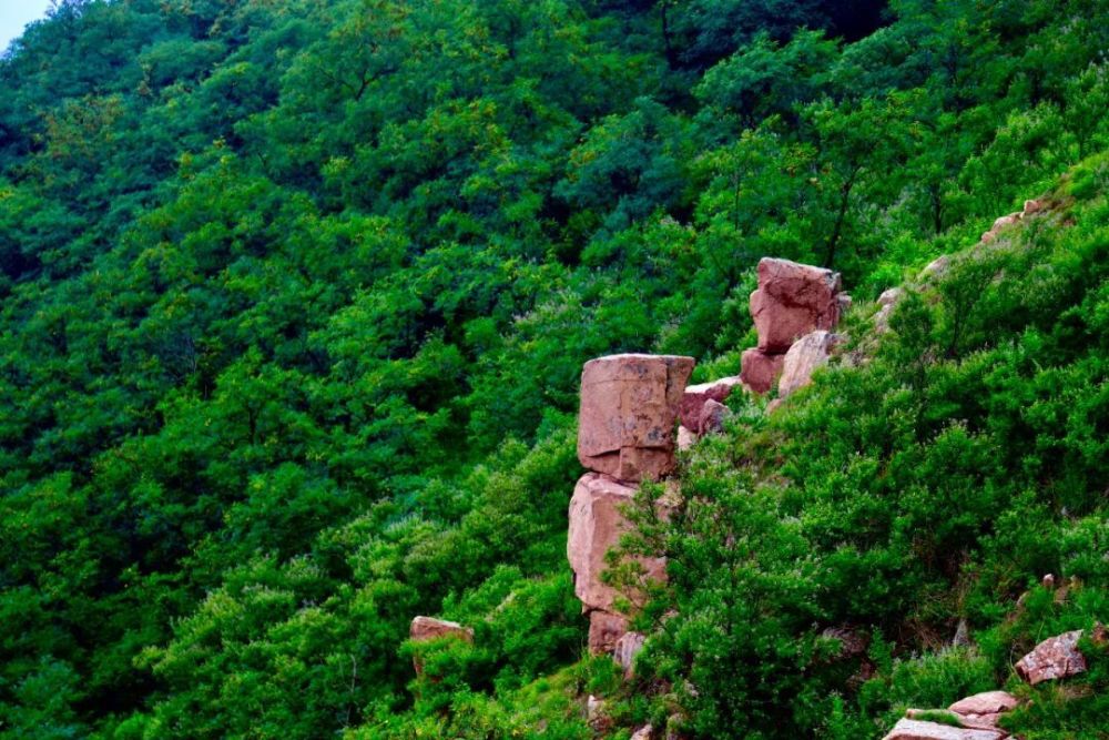 潍坊创建"东亚文化之都"丨网红打卡地之云中草原景点——助力潍坊市