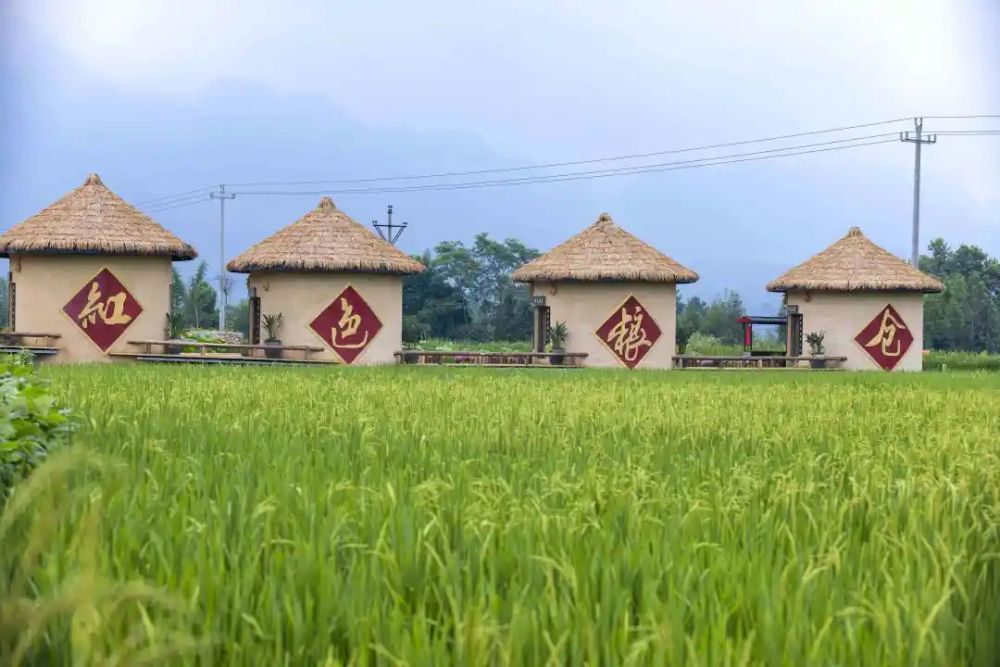稻田中伸开双手触碰天空与大地或闭上双眼聆听自然的声音无需过多的