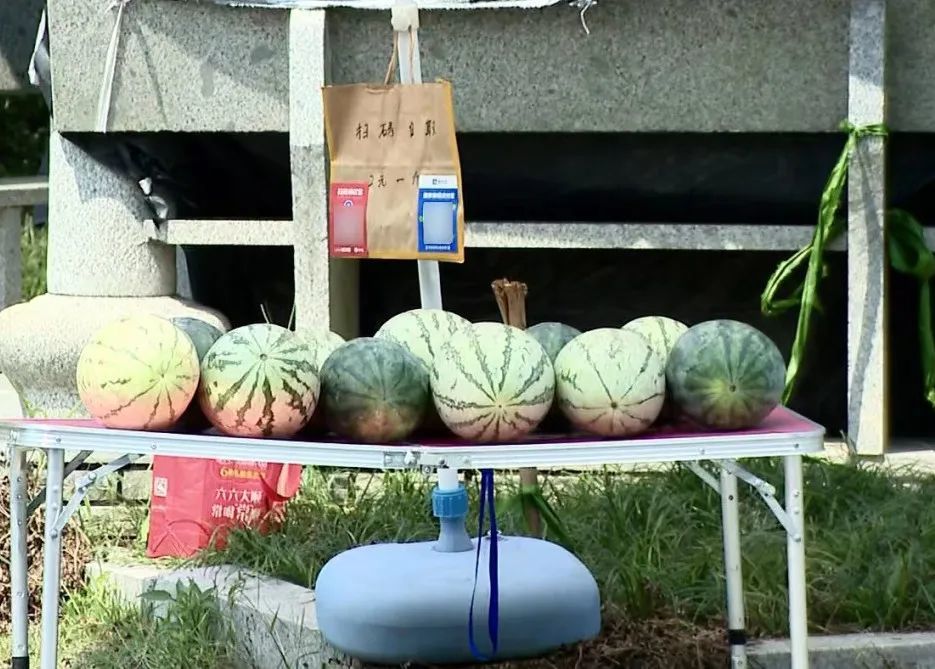 自助西瓜摊火了没有一次逃单