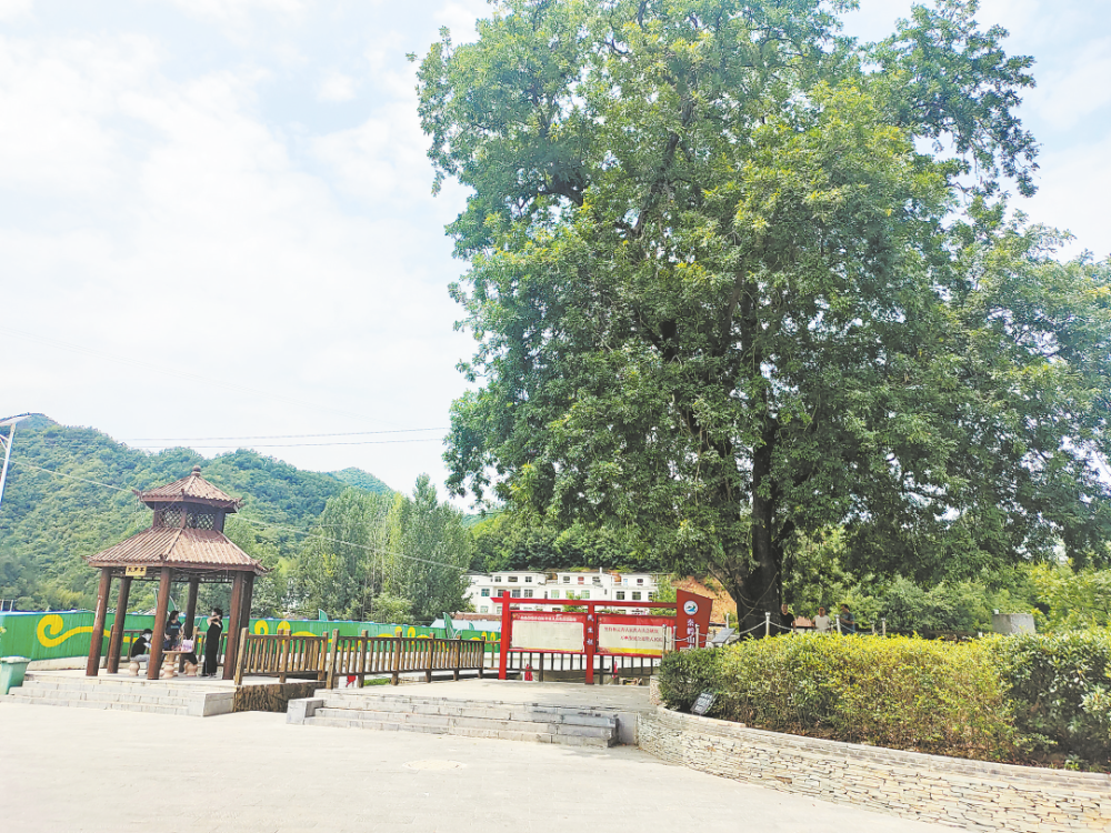 商南二郎庙村:从"靠天吃饭"到吃好"旅游饭"_腾讯新闻