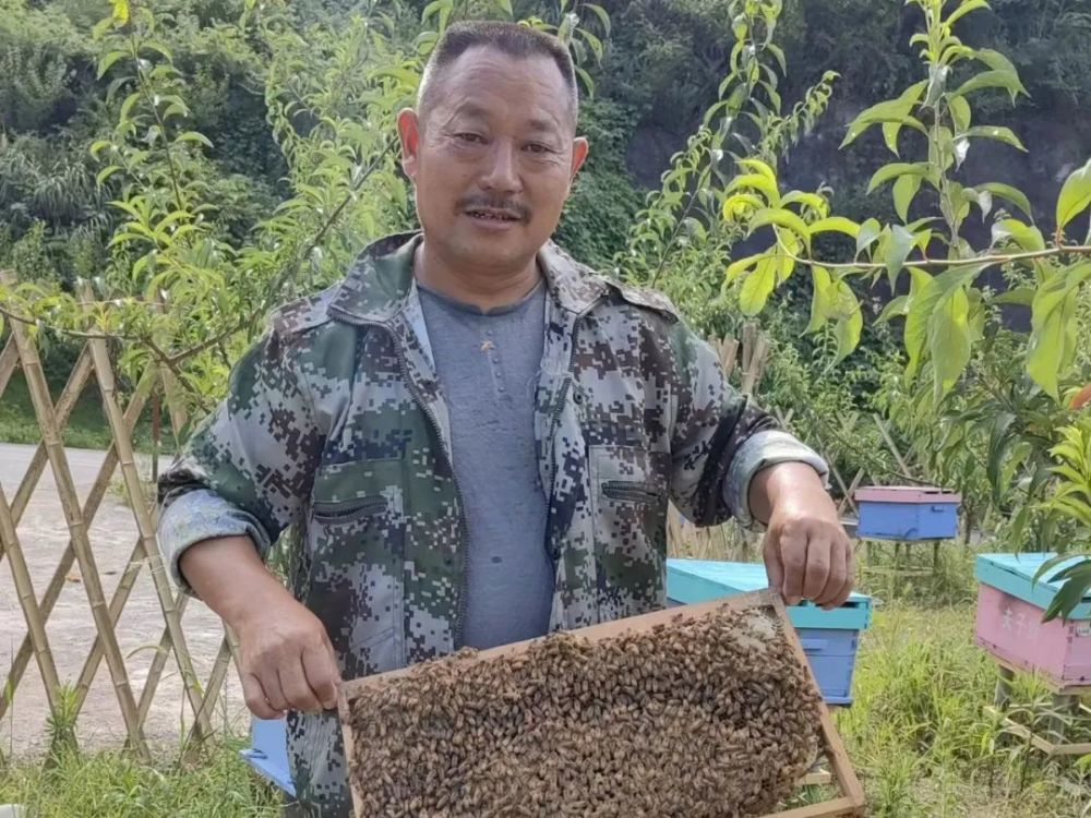 蜂学专业适合女生吗 蜂学专业适合女生吗考研
