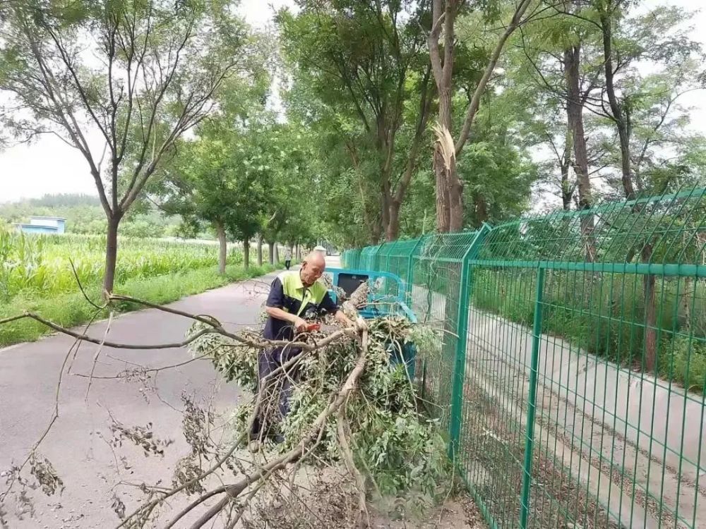 大兴两处古树名木主题公园完工即将开放希腊神话为什么产生