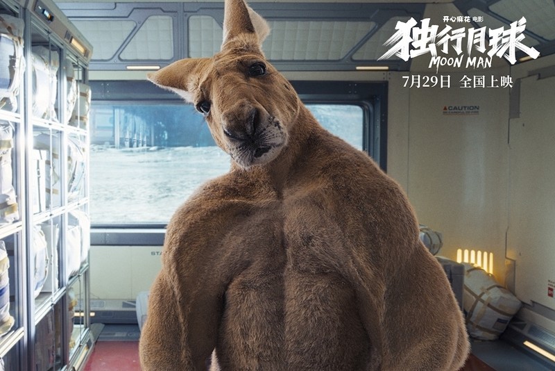 独行月球票房破13亿我们约导演还有袋鼠聊了聊