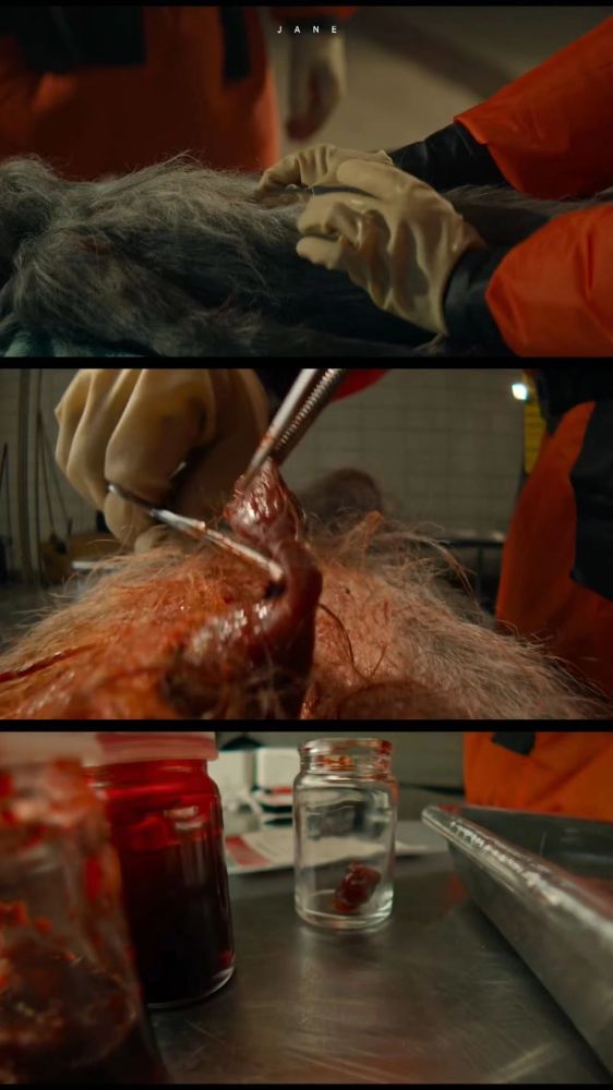 美剧《血疫》埃博拉病毒,没有疫苗无法治愈|看完鸡皮疙瘩掉一地_腾讯