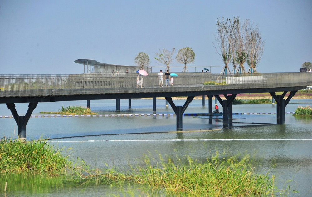 元蕩湖的核心景觀,是橫跨湖面的元蕩慢行橋,已是頗受兩地遊客歡迎的新