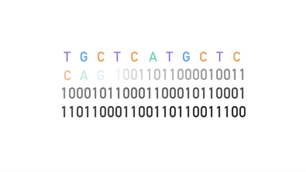 The DNA in your body can store the data of the entire universe