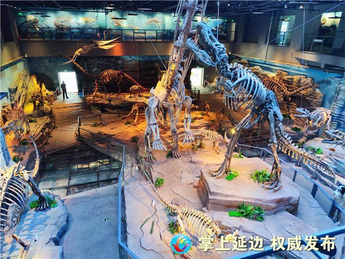 【奋进70载 延吉正青春】走进延吉恐龙博物馆 穿越到遥远的恐龙时代