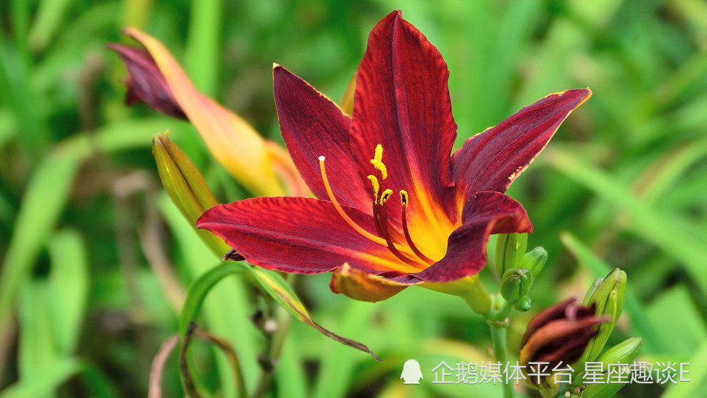 8月5日 11日爱情运势 风雨同舟 幸福牵绊的四大星座 腾讯新闻