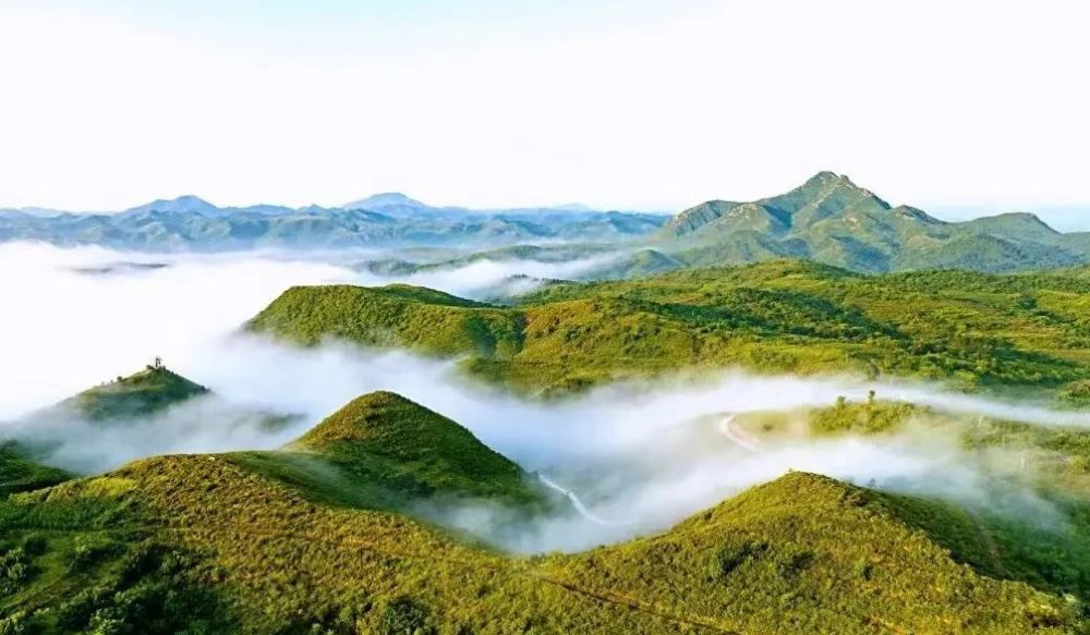 朝阳羊山图片