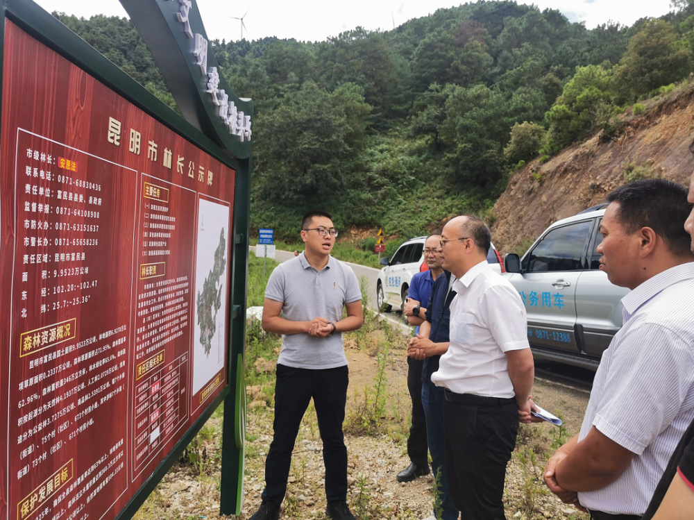 市级林长安恩法到富民县开展巡林工作