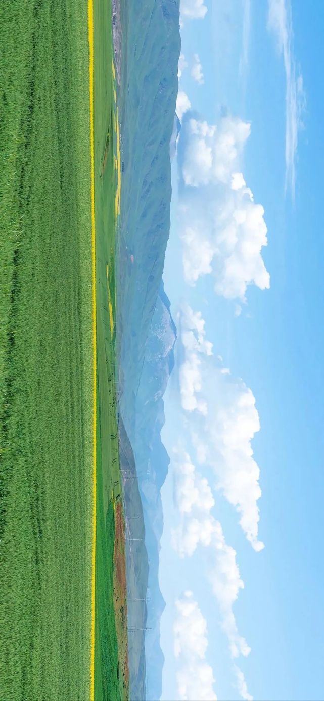 壁纸|换一张与世无争的手机壁纸