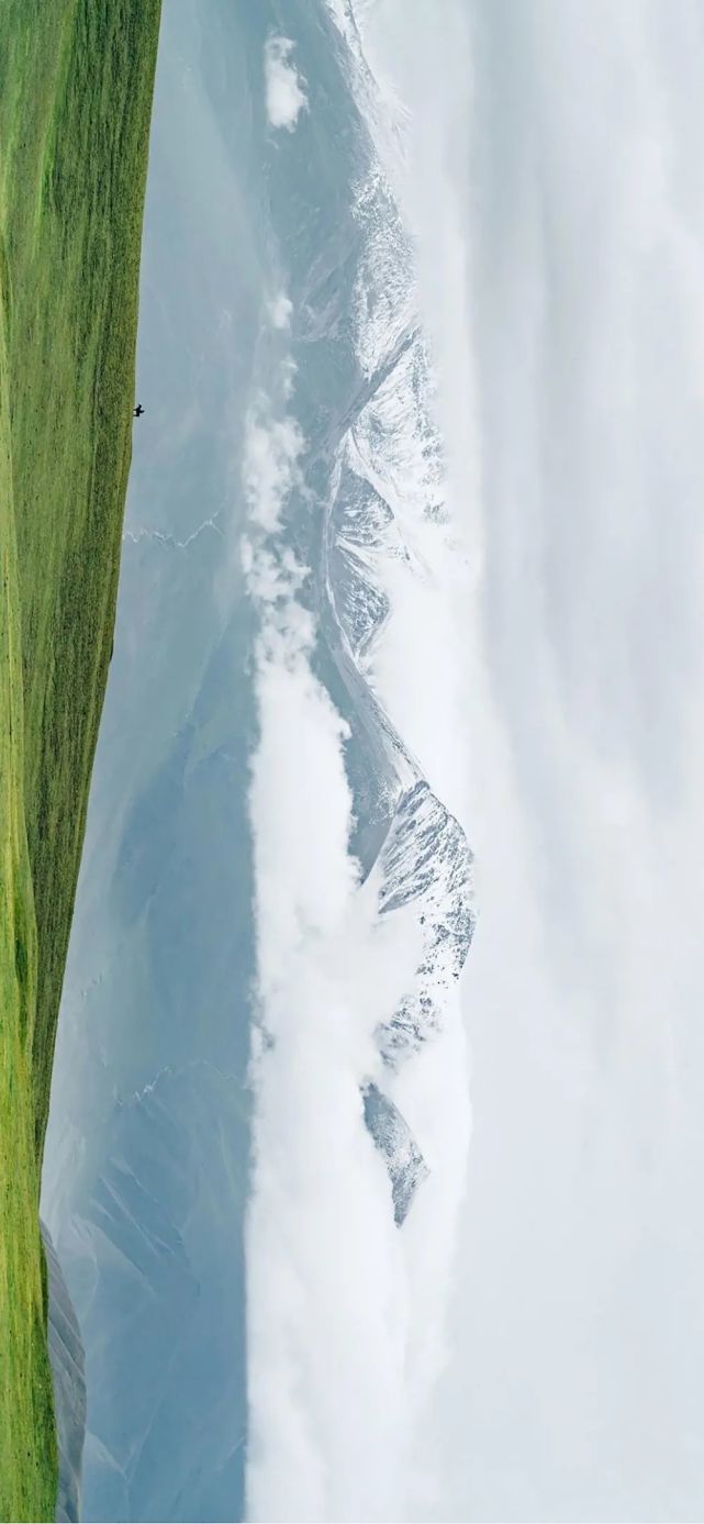 壁纸|换一张与世无争的手机壁纸