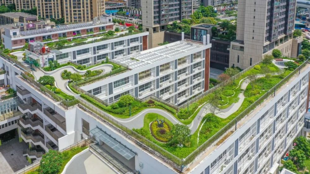 关于海绵城市这些知识你可能不知道