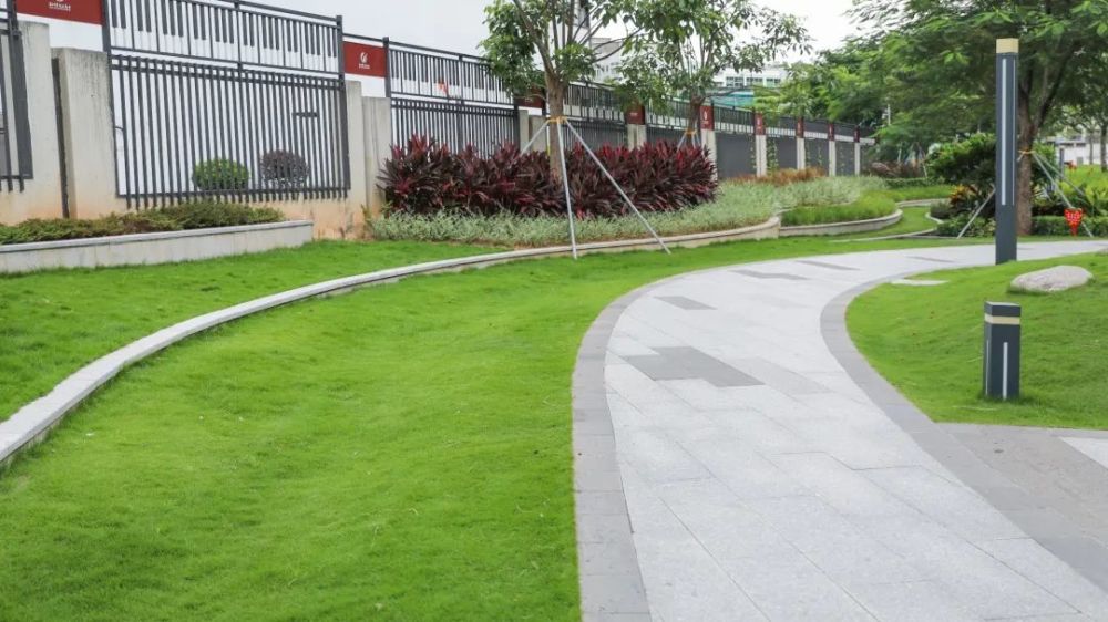 关于海绵城市这些知识你可能不知道