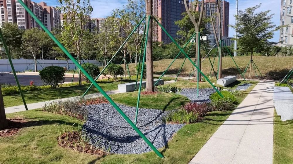 水绿化带植被缓冲带樟坑径河(白鸽湖段) 植被缓冲带海绵城市建设是缓