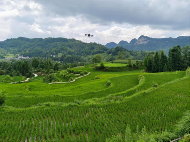 织金县珠藏镇借机作业助力粮食增产增收