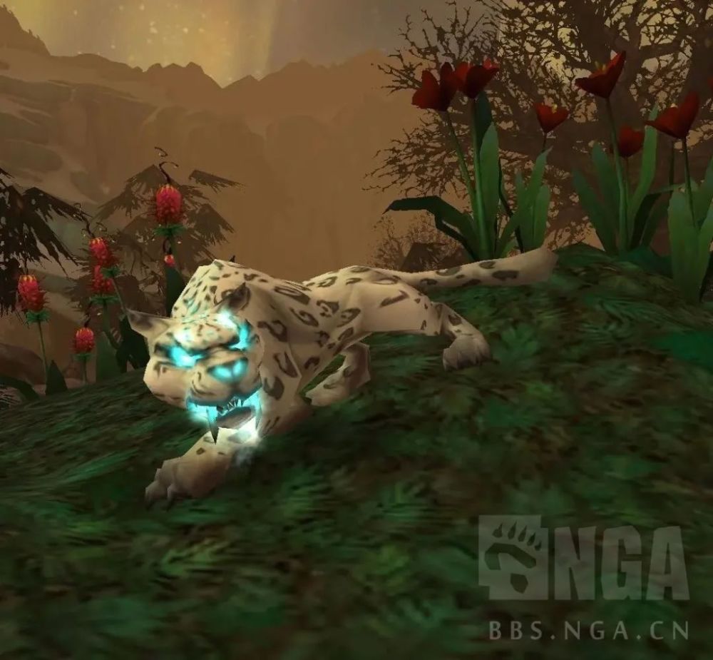 前夕到80级猎人改动,wlk4只灵魂兽与稀有宠物介绍_腾讯新闻