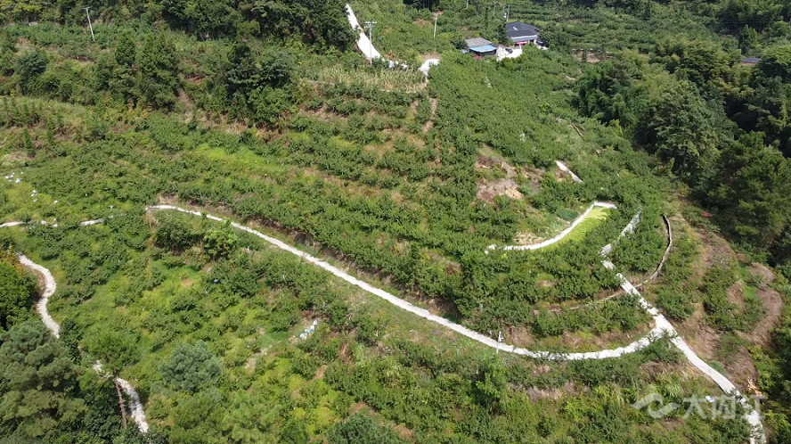 乡村振兴|威远县新场镇:统筹三产融合 农文旅发展齐头并进