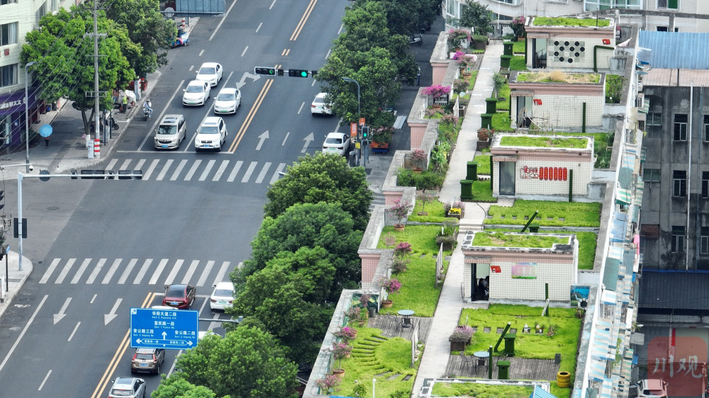 c視頻|老舊小區屋頂大變身 共享花園成